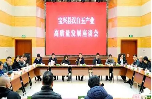 宝兴汉白玉产业座谈 微信截图_20230404095506.png
