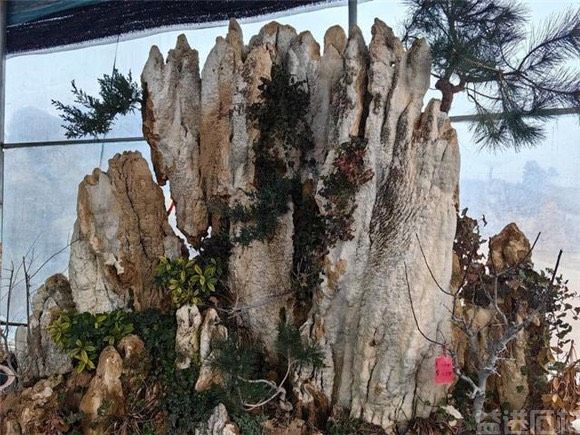 石头雕出“致富路”!水泉镇“鲁南上水石小镇”声名远播(图4) 石头雕出“致富路”!水泉镇“鲁南上水石小镇”声名远播(图4)