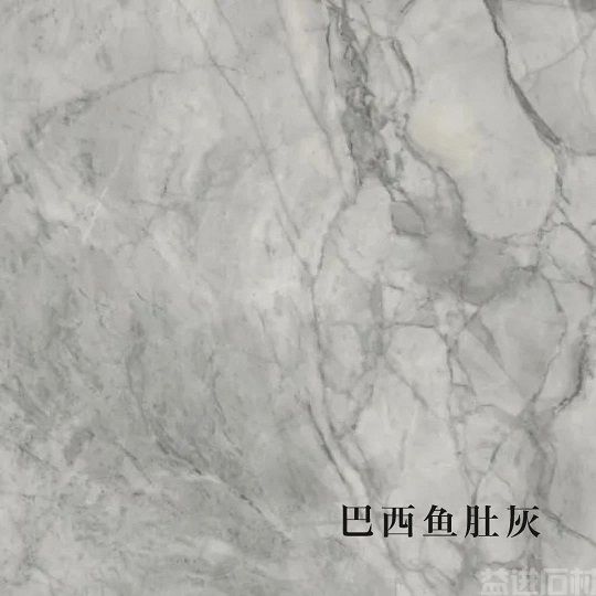 琶洲南TOD | 石出自然，汇聚全球奢石质感的新派豪宅(图10)